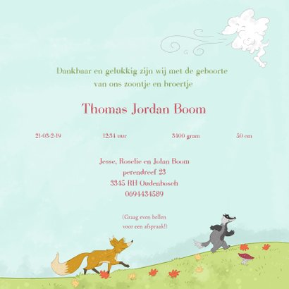 Geboorte boom met beestjes 3