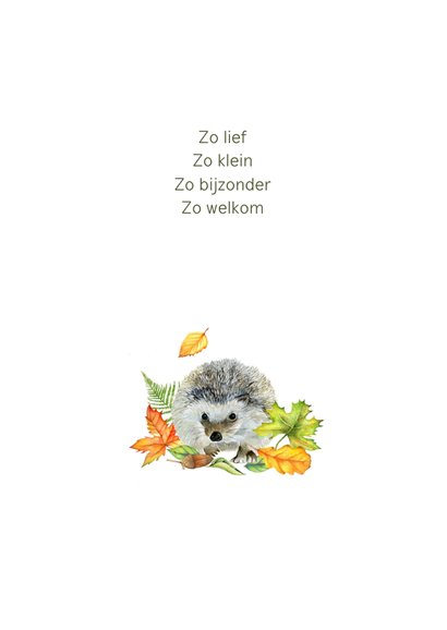 Geboorte egeltje 2