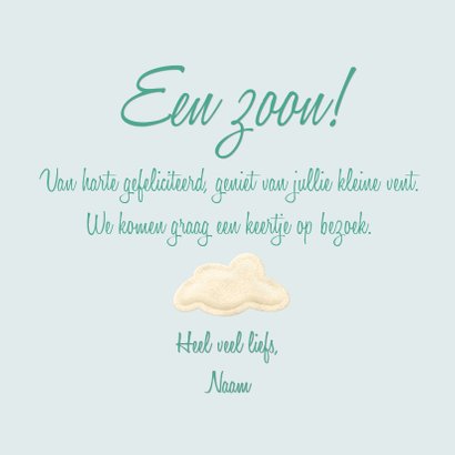 Geboorte Felicitatie Waslijn Beertje jongen 3