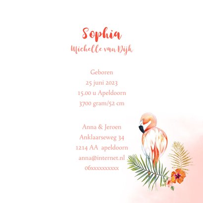 Geboorte flamingo baby 3