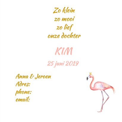 Geboorte flamingo meisje foto 3