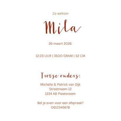 Geboorte giraf meisje 3