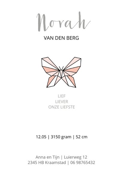 Geboorte grafische vlinder 3
