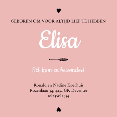 Geboorte hip elisa - B 3
