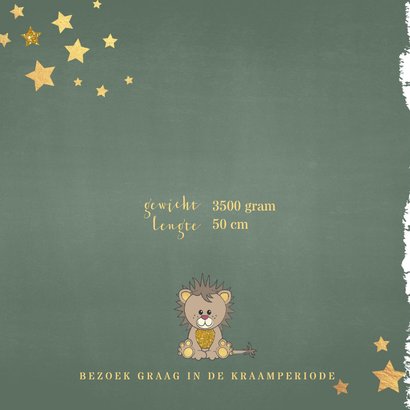 Geboorte hip groen kaartje met een schattige leeuw 2
