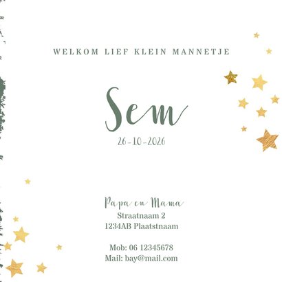 Geboorte hip groen kaartje met een schattige leeuw 3