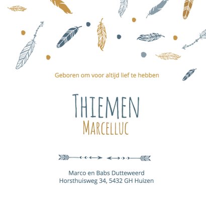 Geboorte hip thiemen - B 3