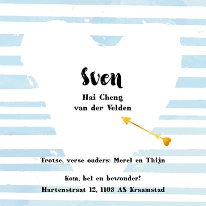 Geboorte jongen aqua streep 3