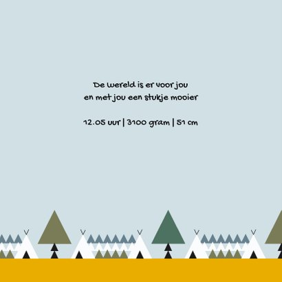 Geboorte jongen bos thema 1E 2
