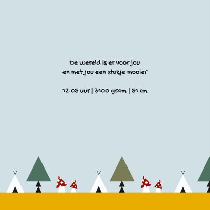 Geboorte jongen bos thema 2E 2