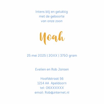 Geboorte jongen dreamcatcher 3