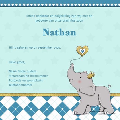 Geboorte jongen olifant goud-IH 3