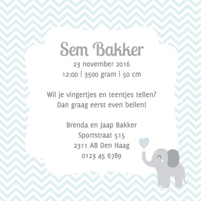 Geboorte jongen olifant zig zag 3
