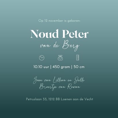 Geboorte jongen sfeervolle maan met vosje en kleine muis 3