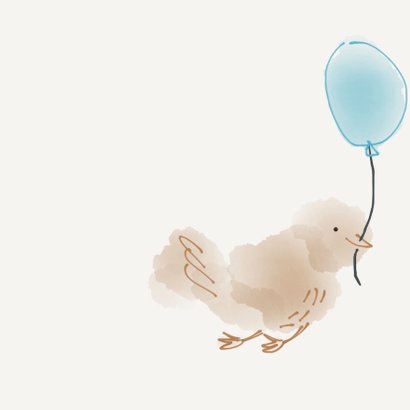 Geboorte Jongen Vier Vogeltjes 2