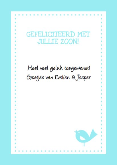 Geboorte Jongen Vogel Hip 3