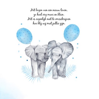 Geboorte jongetjes olifantjes 2