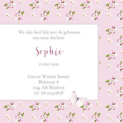 Geboorte kaart Vlinders 3