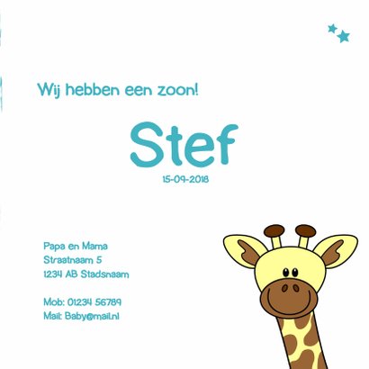 Geboorte kaartje met lief girafje voor een jongen 3