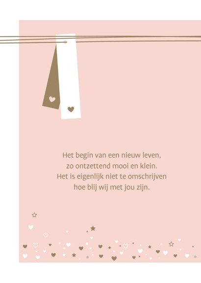 Geboorte - Label, lijnen, hartjes 2