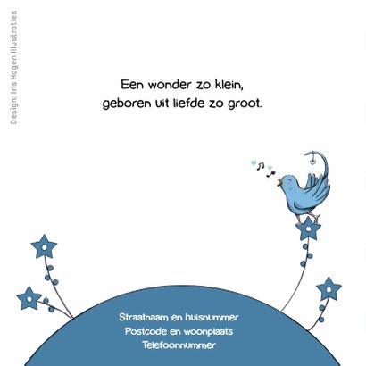 Geboorte leeuw met vogel - IH 2
