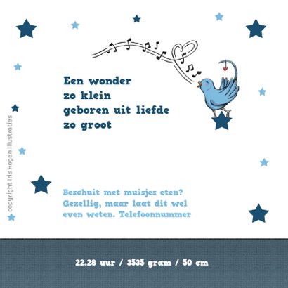 Geboorte leeuw met vogeltje - IH 2