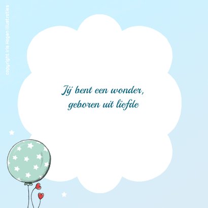 Geboorte leeuwtje ballonnen - IH 2