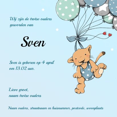 Geboorte leeuwtje ballonnen - IH 3