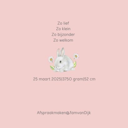 Geboorte lief konijntje 2