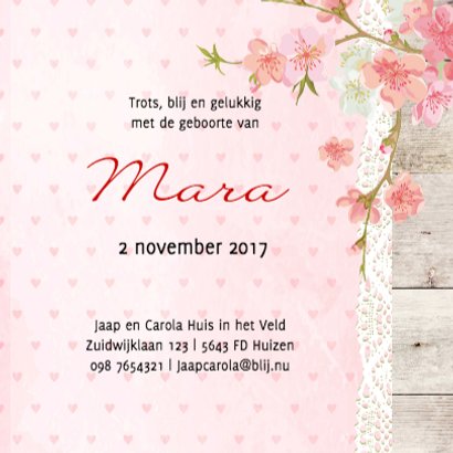 Geboorte lief mara - B 3