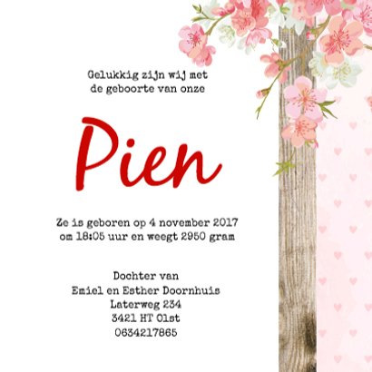 Geboorte lief pien - B 3