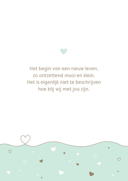 Geboorte - Lijn met hartje en kleinere hartjes 2