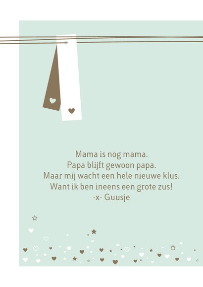 Geboorte - Lijnen, label, sterren 2