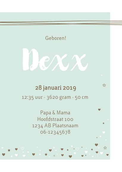 Geboorte - Lijnen, label, sterren 3