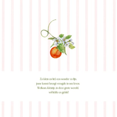 Geboorte meisje bloesem met sinaasappel 2