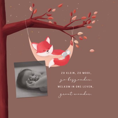 Geboorte meisje bosdieren stijlvol vosje in hangmat in boom 2