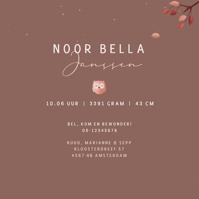 Geboorte meisje bosdieren stijlvol vosje in hangmat in boom 3