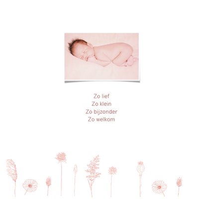 Geboorte meisje droogbloemen pastel 2