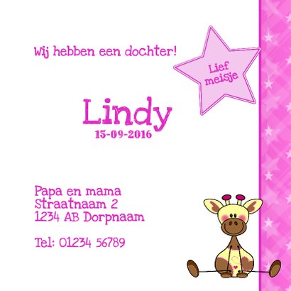geboorte meisje giraffe roze 3