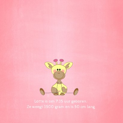 Geboorte meisje lief roze met girafje en sterren 2