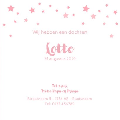 Geboorte meisje lief roze met girafje en sterren 3
