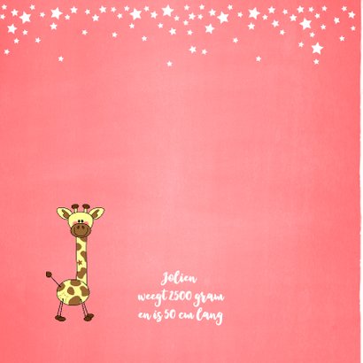 Geboorte meisje lief schattig girafje zalm 2