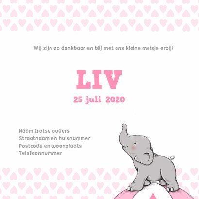 Geboorte meisje olifant bal - IH 3