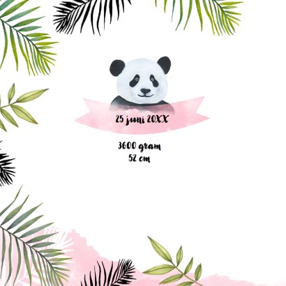 Geboorte meisje pandabeertje aquarel 2