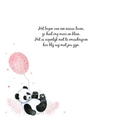 Geboorte meisje pandabeertje ballonnetje 2