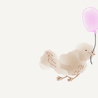 Geboorte Meisje Vier Vogeltjes 2