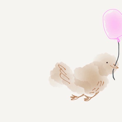 Geboorte Meisje Vier Vogeltjes 2