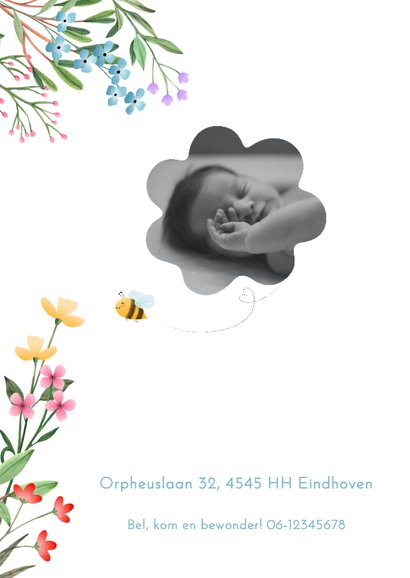 Geboorte meisje vrolijke bloemen met bij & lieveheersbeestje 2