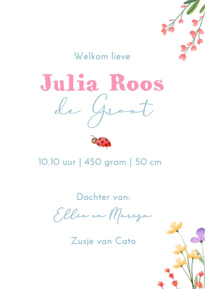 Geboorte meisje vrolijke bloemen met bij & lieveheersbeestje 3