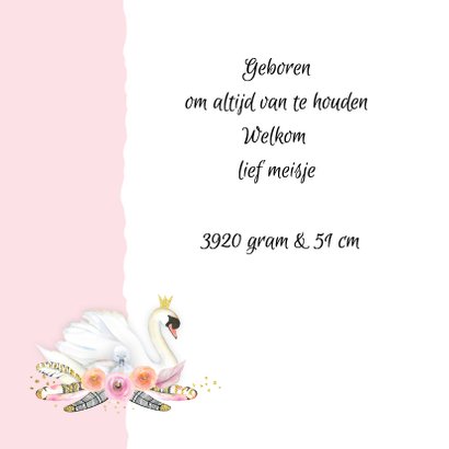 Geboorte meisje zwaan veren 2